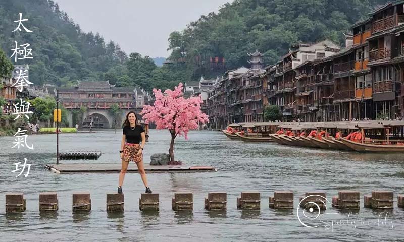 Spiralis Mirabilis - Rivista dedicata alle arti marziali cinesi e alla cultura tradizionale cinese con focus su Tai Chi QiGong e DaoYin