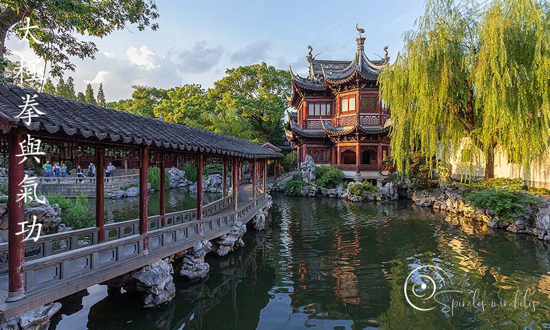 Spiralis Mirabilis - Rivista dedicata alle arti marziali cinesi e alla cultura tradizionale cinese con focus su Tai Chi QiGong e DaoYin